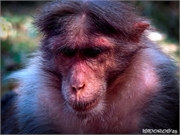 _DSF9305 (Copy)